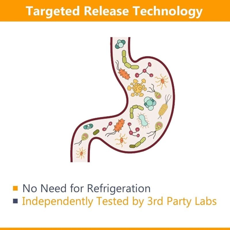 NewRhythm Probiotics 50 Billion CFU 20 Strains, 60 Veggie Capsules, Targeted Release Technology, Stomach Acid Resistant, No Need for Refrigeration, Non-GMO, Gluten Free - Image 7