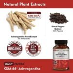 DailyNutra KSM-66 Ashwagandha 600mg Organic Root Extract - High Potency Supplement with 5% Withanolides | Stress Relief, Increased Energy and Focus (60 Capsules) - Image 3