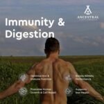 Ancestral Supplements Grass Fed Beef Organ Supplement, Supports Whole Body Wellness with Proprietary Blend of Liver, Heart, Kidney, Pancreas, Spleen, Freeze-Dried Beef, Non-GMO, 180 Capsules - Image 4