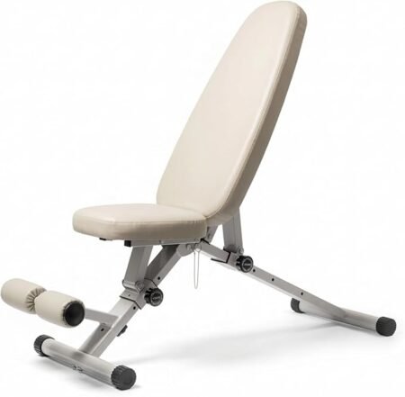 WeGym Fitness Bench, Adjustable, Collapsible, Comfortable, and Luxurious Home Gym Bench for Strength Training